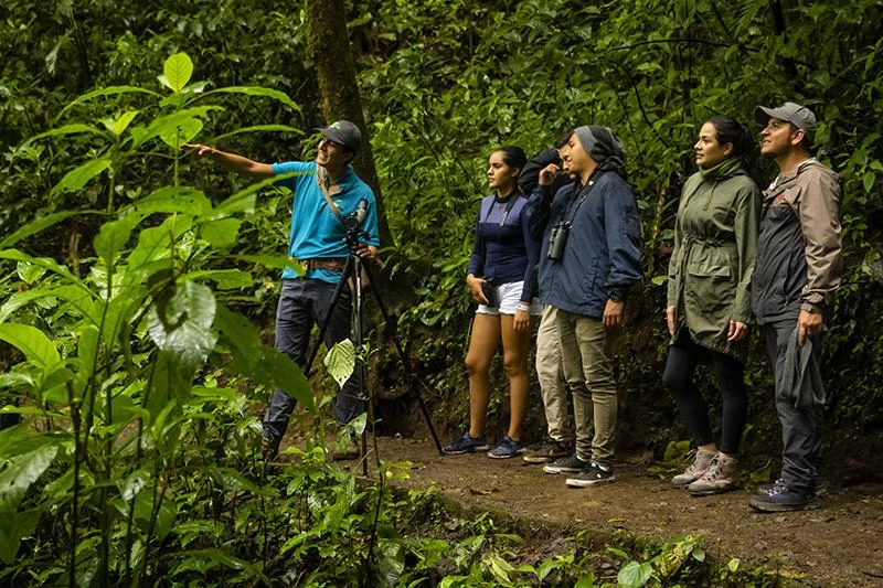 guias laterales puntarenas.webp