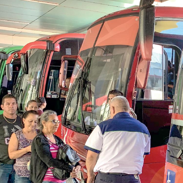 autobuses-01.jpg